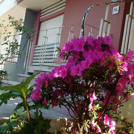 Friends In Braga - Guesthouse المظهر الخارجي الصورة